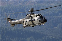 La Roche Spotters. Click to see full size photo