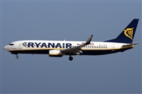 Alfonso Sols - Asociacin Canary Islands Spotting. Haz click para ampliar