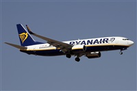 Alfonso Sols - Asociacin Canary Islands Spotting. Haz click para ampliar