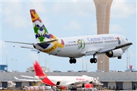 Miguel A. gueda Rguez.  (CANARY ISLANDS SPOTTING). Click to see full size photo