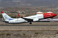 ©Alfonso Solís - Asociación Canary Islands Spotting. Click to see full size photo ©Alfonso Solís - Asociación Canary Islands Spotting. Click to see full size photo