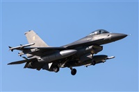 Fco Javier Garca Ruiz. Click to see full size photo