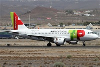 ©Alfonso Solís - Asociación Canary Islands Spotting. Click to see full size photo ©Alfonso Solís - Asociación Canary Islands Spotting. Click to see full size photo