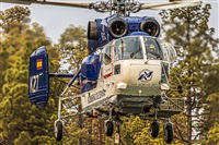 ©Daniel Santos Batista - Canary Islands Spotting. Click to see full size photo ©Daniel Santos Batista - Canary Islands Spotting. Click to see full size photo