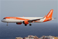 Alfonso Sols - Asociacin Canary Islands Spotting. Click to see full size photo