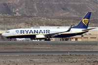 Alfonso Sols - Asociacin Canary Islands Spotting. Click to see full size photo