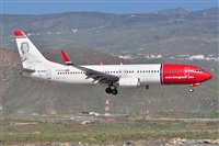 Miguel A. gueda Rguez.  (CANARY ISLANDS SPOTTING). Haz click para ampliar