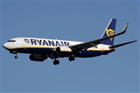 Alfonso Sols - Asociacin Canary Islands Spotting. Click to see full size photo