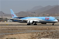 Alfonso Sols - Asociacin Canary Islands Spotting. Click to see full size photo