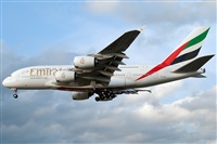 Miguel Martin Cordeiro - Iberian Spotters. Click to see full size photo