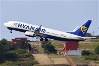 Miguel A. gueda Rguez.  (CANARY ISLANDS SPOTTING). Click to see full size photo