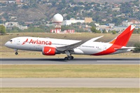 Miguel A. gueda Rguez.  (CANARY ISLANDS SPOTTING). Click to see full size photo