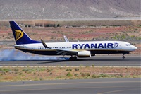 Miguel A. gueda Rguez.  (CANARY ISLANDS SPOTTING). Haz click para ampliar