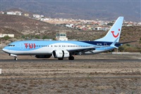 ©Alfonso Solís - Asociación Canary Islands Spotting. Click to see full size photo ©Alfonso Solís - Asociación Canary Islands Spotting. Click to see full size photo