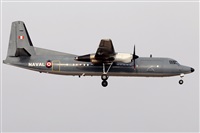 La Roche Spotters. Click to see full size photo