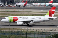 ©Alfonso Solís - Asociación Canary Islands Spotting. Click to see full size photo ©Alfonso Solís - Asociación Canary Islands Spotting. Click to see full size photo