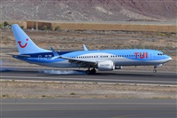 Miguel A. gueda Rguez.  (CANARY ISLANDS SPOTTING). Click to see full size photo