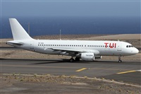 Alfonso Sols - Asociacin Canary Islands Spotting. Click to see full size photo