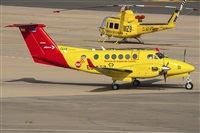 ©Adolfo Bento - Gran Canaria Spotters. Click to see full size photo ©Adolfo Bento - Gran Canaria Spotters. Click to see full size photo