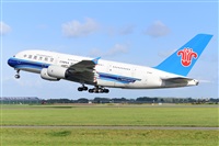 Miguel A. gueda Rguez.  (CANARY ISLANDS SPOTTING). Click to see full size photo