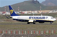 Alfonso Sols - Asociacin Canary Islands Spotting. Click to see full size photo
