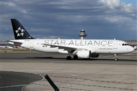 Alfonso Sols - Asociacin Canary Islands Spotting. Haz click para ampliar