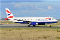 Miguel A. gueda Rguez.  (CANARY ISLANDS SPOTTING). Click to see full size photo
