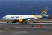 Alfonso Sols - Asociacin Canary Islands Spotting. Click to see full size photo