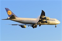 Miguel A. gueda Rguez.  (CANARY ISLANDS SPOTTING). Click to see full size photo