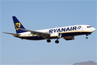 Alfonso Sols - Asociacin Canary Islands Spotting. Haz click para ampliar