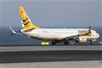 Adrin Alonso Lemes - Lanzarote Spotters. Click to see full size photo