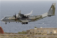 ©Adolfo Bento - Gran Canaria Spotters. Click to see full size photo ©Adolfo Bento - Gran Canaria Spotters. Click to see full size photo