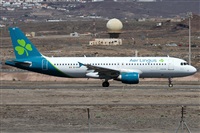 Alfonso Sols - Asociacin Canary Islands Spotting. Haz click para ampliar