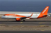 ©Alfonso Solís - Asociación Canary Islands Spotting. Click to see full size photo ©Alfonso Solís - Asociación Canary Islands Spotting. Click to see full size photo