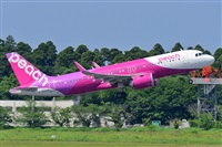 Miguel A. gueda Rguez.  (CANARY ISLANDS SPOTTING). Click to see full size photo