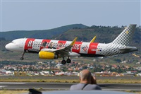 Miguel A. gueda Rguez.  (CANARY ISLANDS SPOTTING). Click to see full size photo