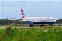 Miguel A. gueda Rguez.  (CANARY ISLANDS SPOTTING). Click to see full size photo