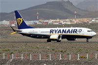 �Alfonso Sol�s - Asociaci�n Canary Islands Spotting. Click to see full size photo