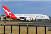 �Miguel A. �gueda Rguez.  (CANARY ISLANDS SPOTTING). Click to see full size photo