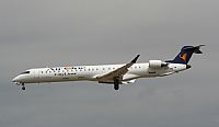 ©Guillem Ramonet - Iberian Spotters. Click to see full size photo ©Guillem Ramonet - Iberian Spotters. Click to see full size photo