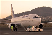 Javier de la Cruz - CANARY ISLANDS SPOTTING. Click to see full size photo