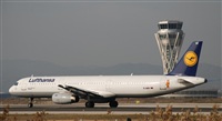 Rubn Gil - Noisy Spotters. Click to see full size photo