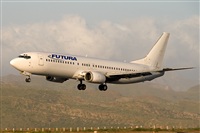 ©Javier de la Cruz - CANARY ISLANDS SPOTTING. Click to see full size photo ©Javier de la Cruz - CANARY ISLANDS SPOTTING. Click to see full size photo