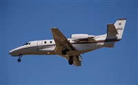 Rubn Gil - Noisy Spotters. Click to see full size photo