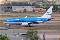 Miguel A. gueda Rguez.  (CANARY ISLANDS SPOTTING). Click to see full size photo