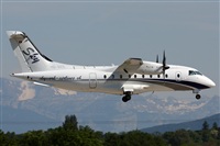 Rodrigo Carvalho - Noisy Spotters. Click to see full size photo