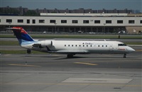 Rubn Gil - Noisy Spotters. Click to see full size photo