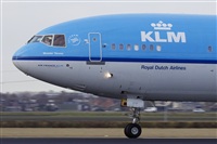 Jos Miguel Bernases - Noisy Spotters. Click to see full size photo