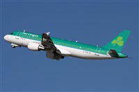Rodrigo Carvalho - Noisy Spotters. Click to see full size photo