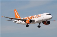 Alfonso Sols - Asociacin Canary Islands Spotting. Click to see full size photo